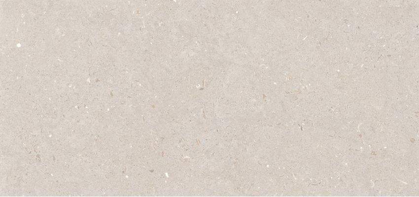 Stx Fossil Barley 59,8х119,8