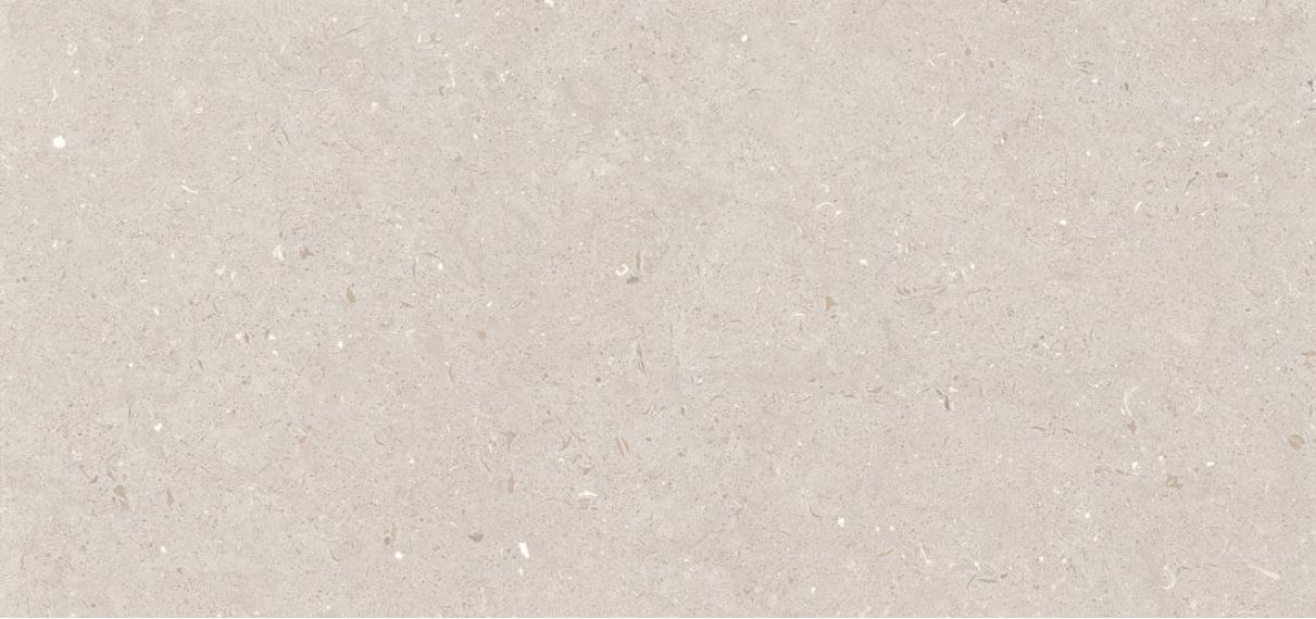 Stx Fossil Barley 59,8х119,8