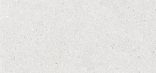 Stx Fossil Bianco 59,8х119,8