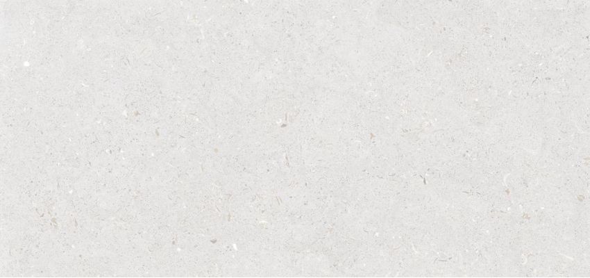 Stx Fossil Bianco 59,8х119,8
