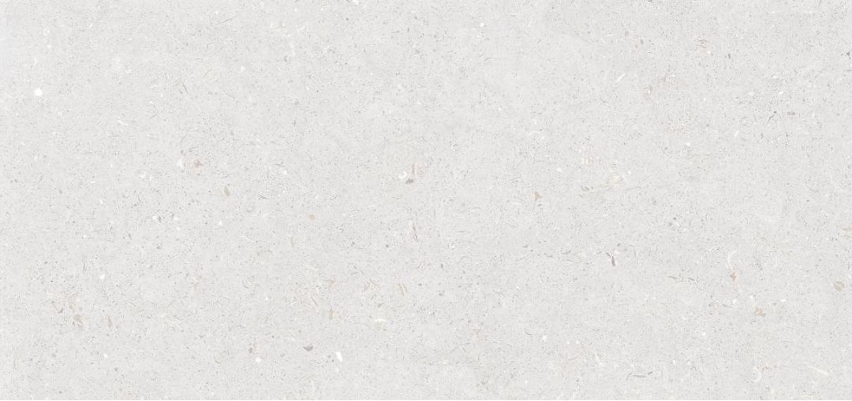 Stx Fossil Bianco 59,8х119,8