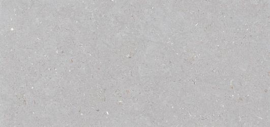Stx Fossil Dove 59,8х119,8