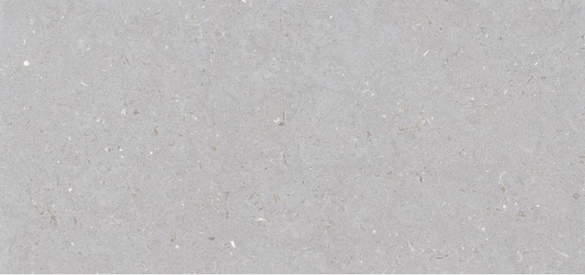 Stx Fossil Dove 59,8х119,8