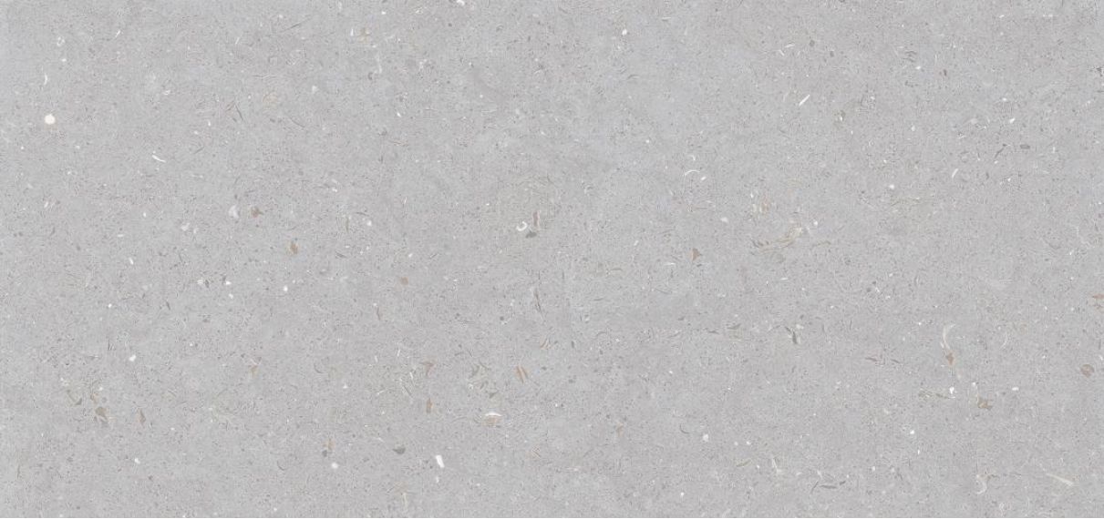 Stx Fossil Dove 59,8х119,8