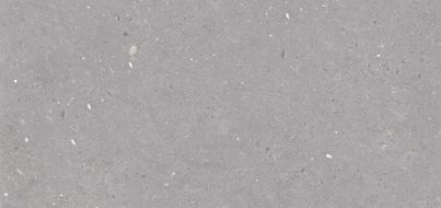 Stx Fossil Grey 59,8х119,8