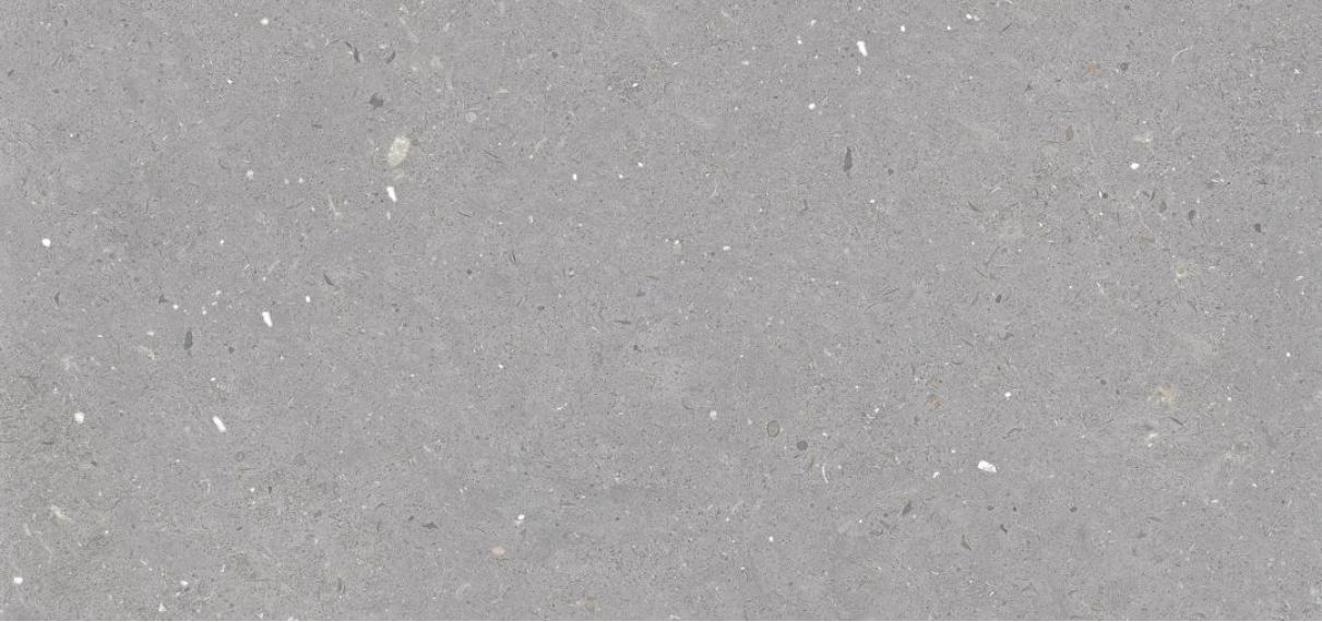 Stx Fossil Grey 59,8х119,8