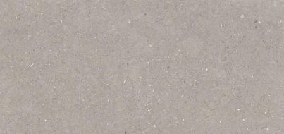 Stx Fossil Mud 59,8х119,8