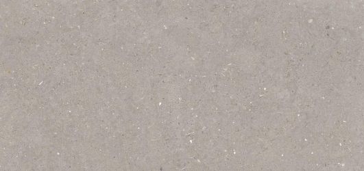 Stx Fossil Mud 59,8х119,8
