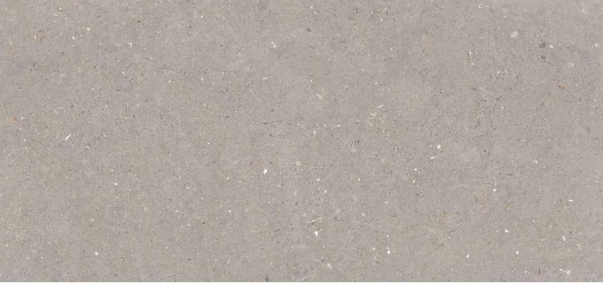 Stx Fossil Mud 59,8х119,8