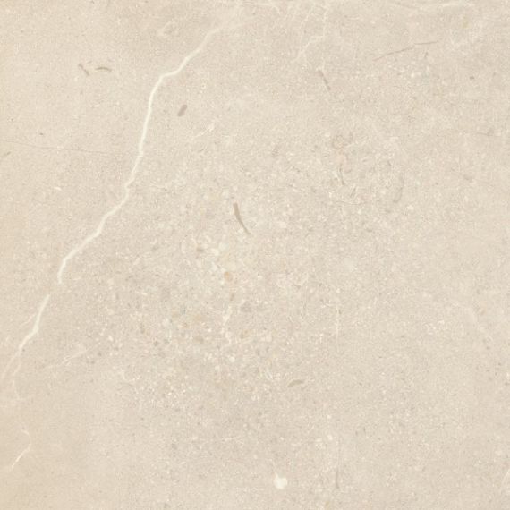 Sunnydust Light Beige 59.8x59.8