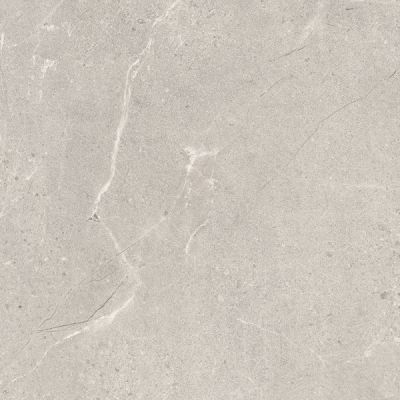 Sunnydust Light Grys 59.8x59.8