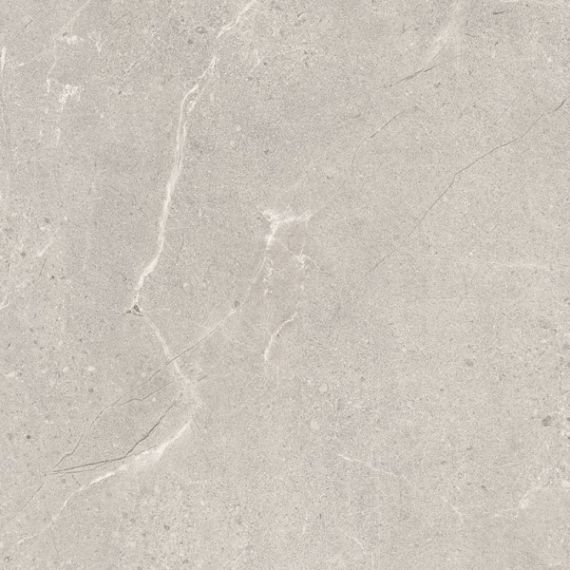 Sunnydust Light Grys 59.8x59.8