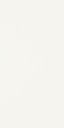 Synergy Bianco 30x60