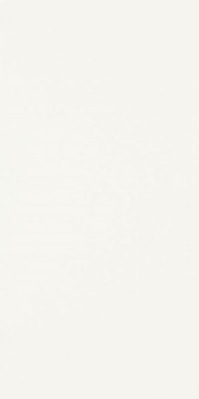 Synergy Bianco 30x60