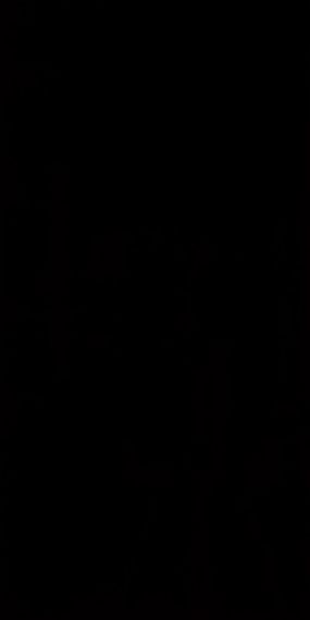Synergy Nero 30x60