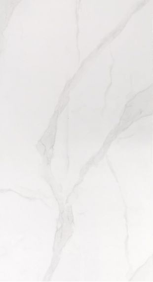 T126063 60x120
