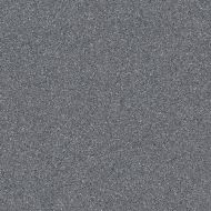 TAL61065 Taurus Granit 60x60