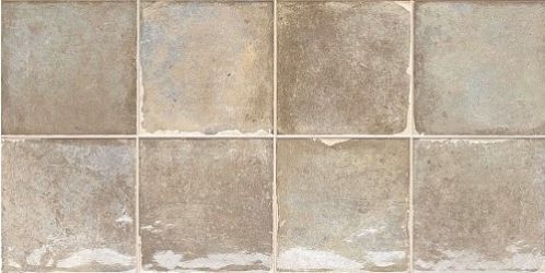 TERRA HAZEL 30x60