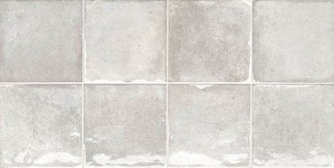 TERRA ICE 30x60