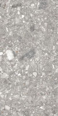 TERRA STONE Grey LAPPATO 60x120