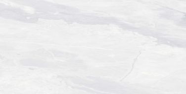 TEXUS BIANCO 60x120