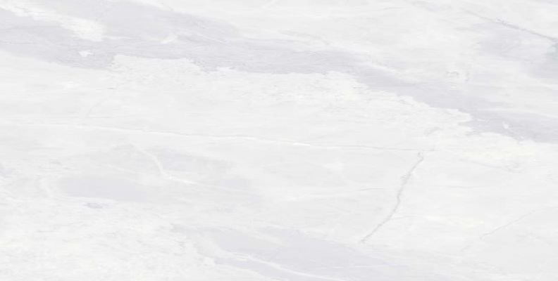 TEXUS BIANCO 60x120