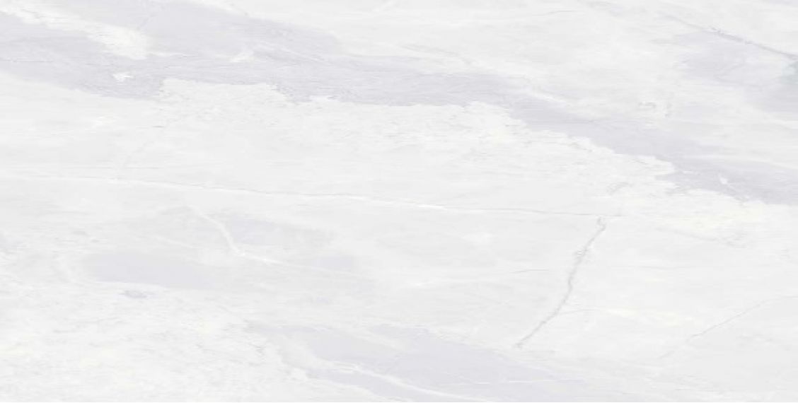 TEXUS BIANCO 60x120