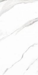 THASOS SATUARIO polished 60x120