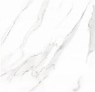 THASOS SATUARIO polished 60x60