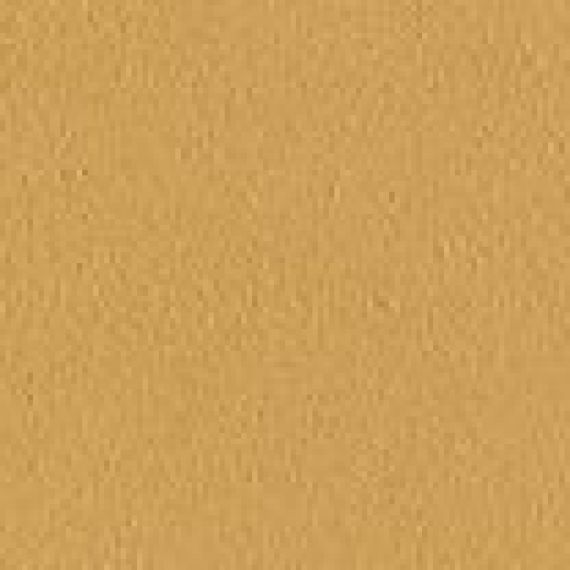 TOE2 Old England Tozzetto Leeds 4x4