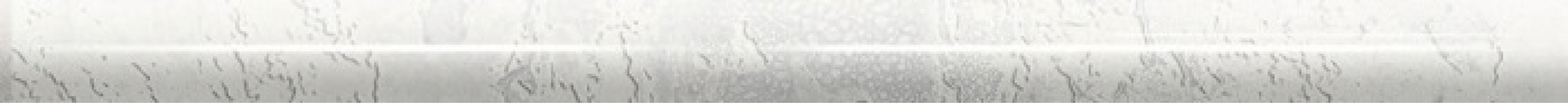 TORELLO SNAP WHITE 2X30