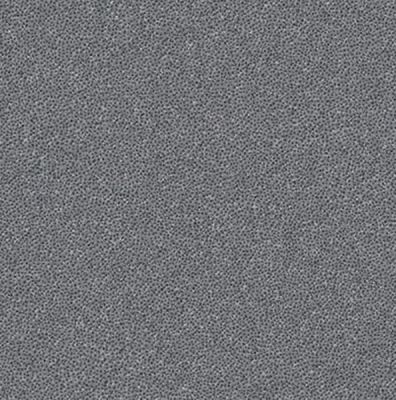 TR329065 Taurus Industrial 20x20