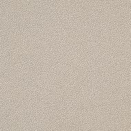 TR335061 Taurus Granit 30x30