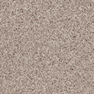 TR726068 TAURUS GRANIT 20x20