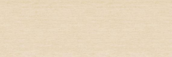 TRAVERTINO SL.IN.TA.NT 300x100