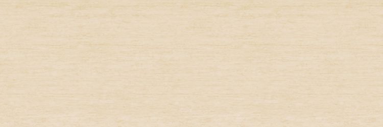 TRAVERTINO SL.IN.TA.NT 300x100