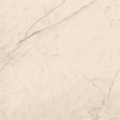 TREX6 120W LP White 120x120