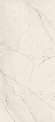 TREX6 260W LP Керамогранит White 120x260