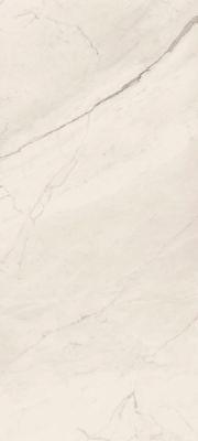 TREX6 260W RM Керамогранит White 120x260