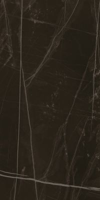 TREX 12N LP Керамогранит Black 60x120