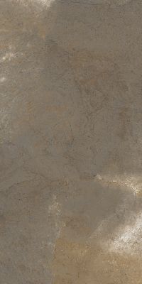 TREX 12TO LP Dove Gray 60x120