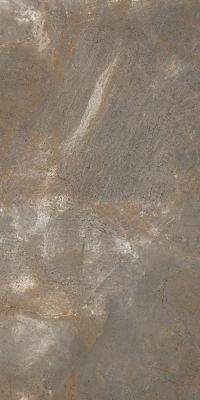 TREX 12TO RM Dove Gray 60x120