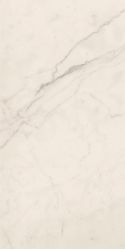 TREX 12W LP White 60x120