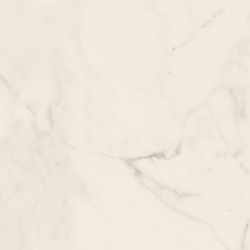 TREX 60W RM White 60x60