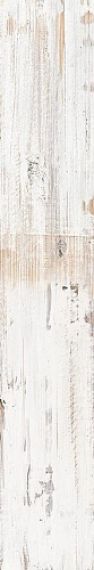 TRIBECA BLANCO 20x120