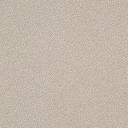 TRM26061 Taurus Granit 20x20
