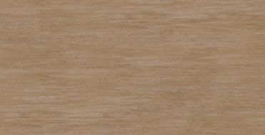 TT02 Tottori неполированный 60x120