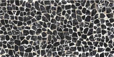 TURTLE6 260LP 120x260