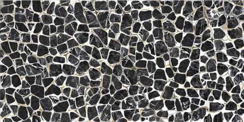 TURTLE6 260LP 120x260