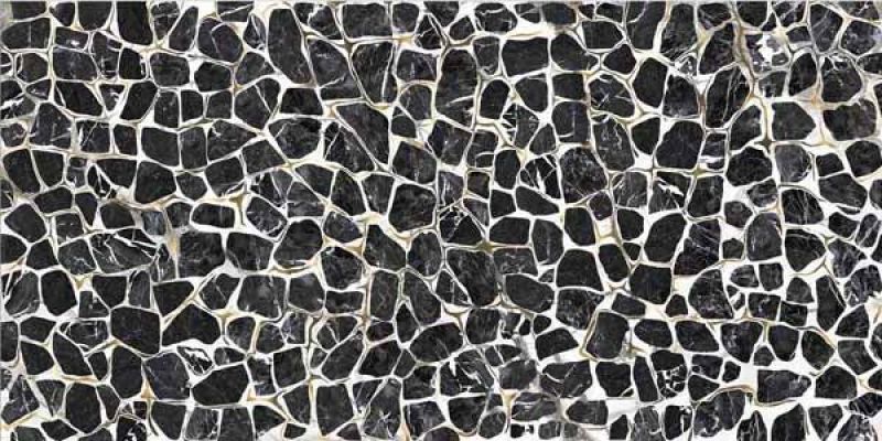TURTLE6 260LP 120x260